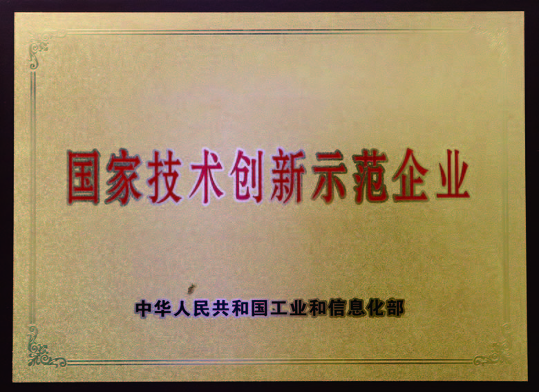 國(guó)家技術(shù)創新示範企業